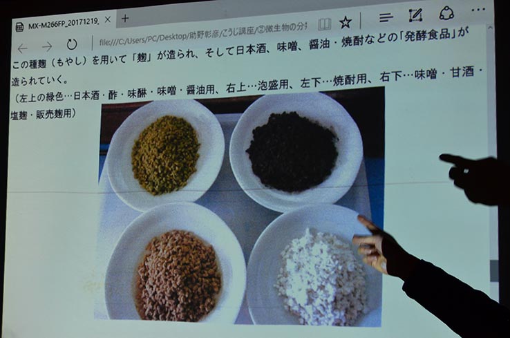 左上：緑色系麹菌（日本酒、酢、みりん、味噌用）。右上：泡盛用。左下：焼酎用。右下：味噌、甘酒、塩麹、販売麹用